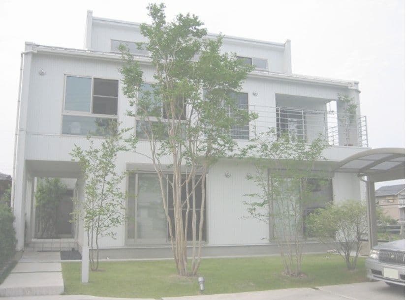 シンボルツリーのある芝庭