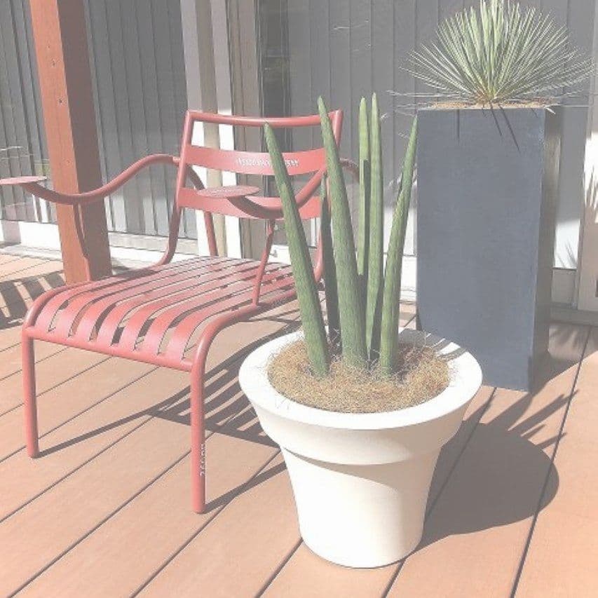 観葉植物のあるテラス