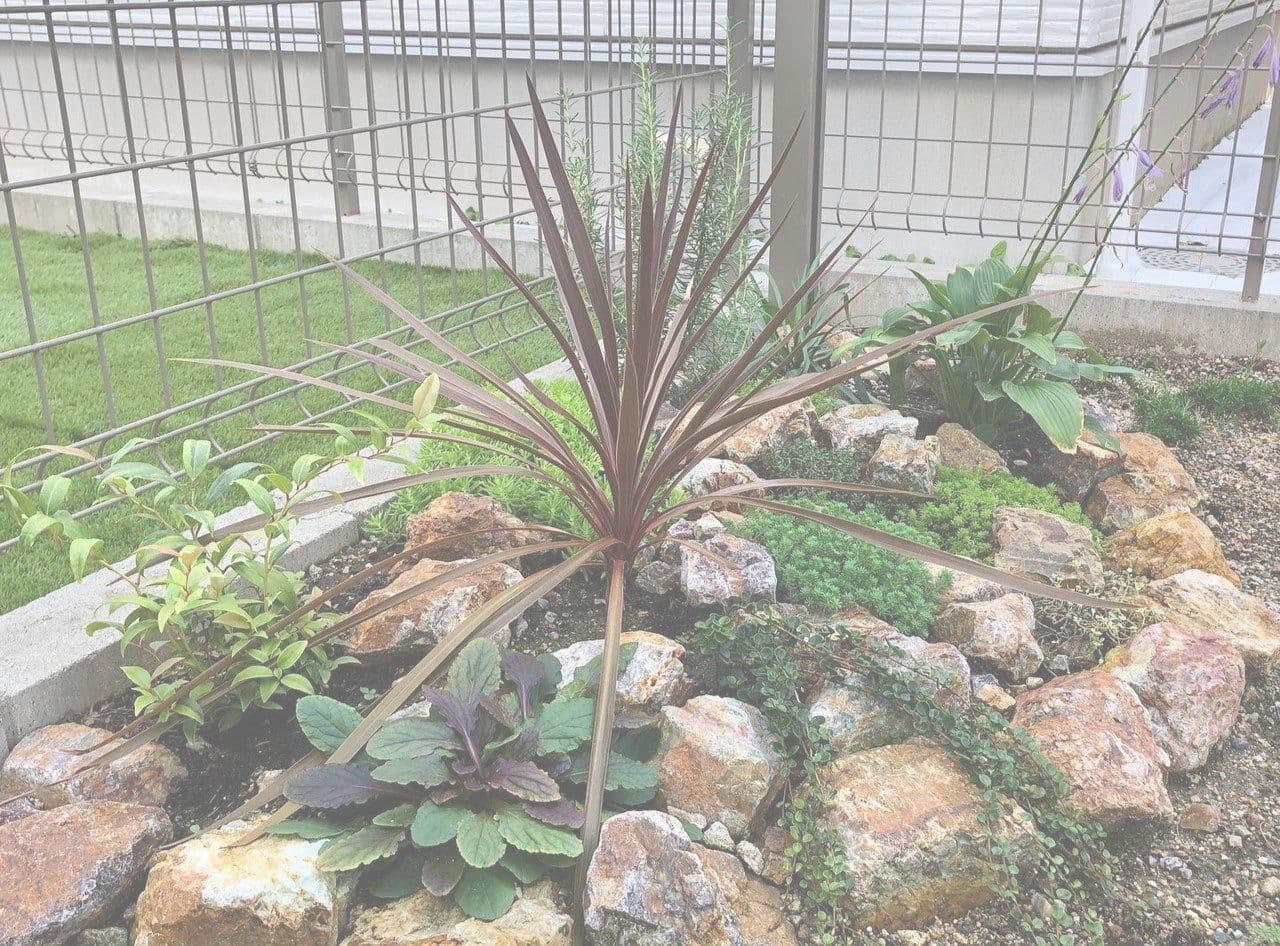 ロックガーデン